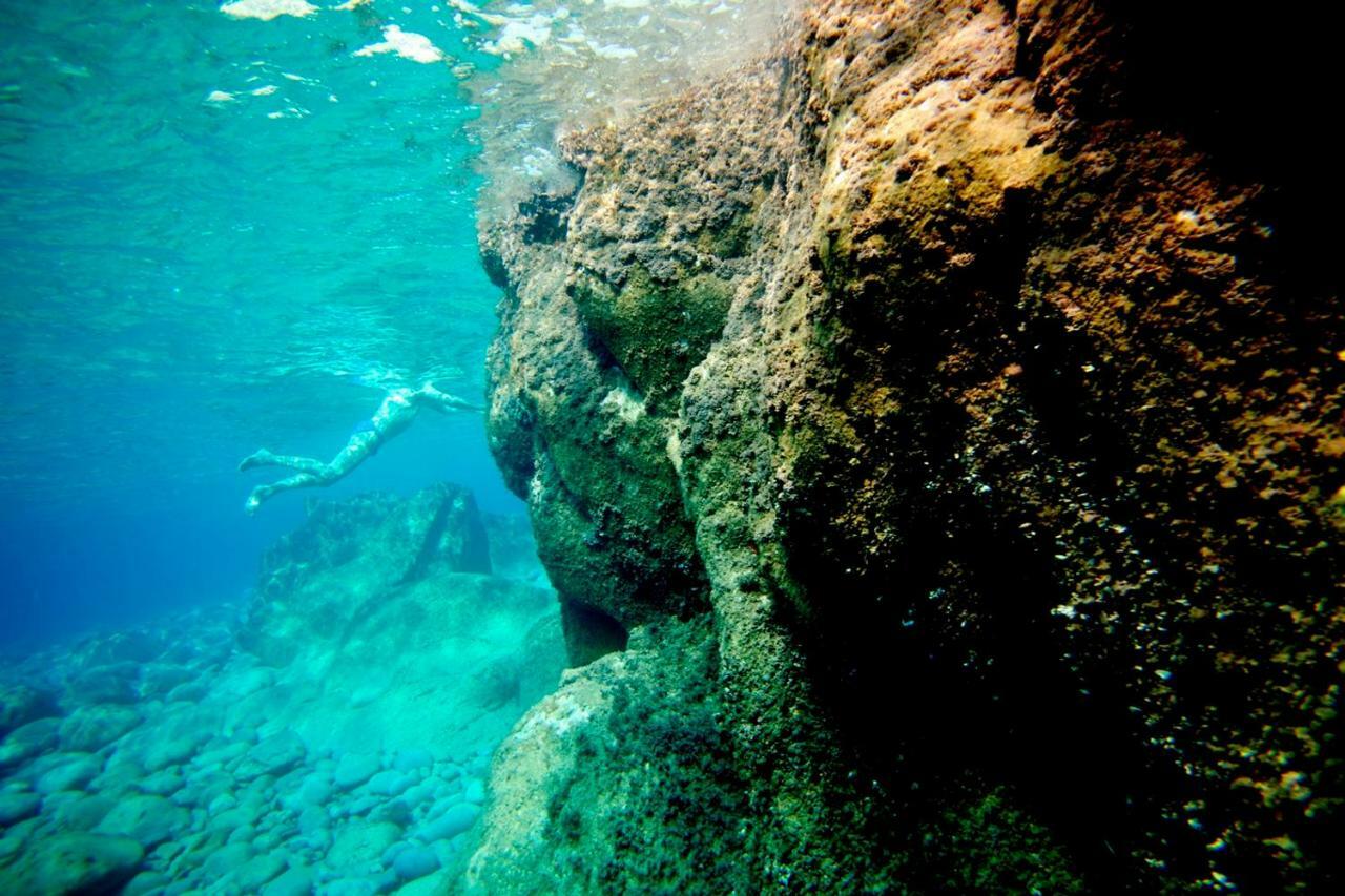 Edera Otel Levanto Dış mekan fotoğraf